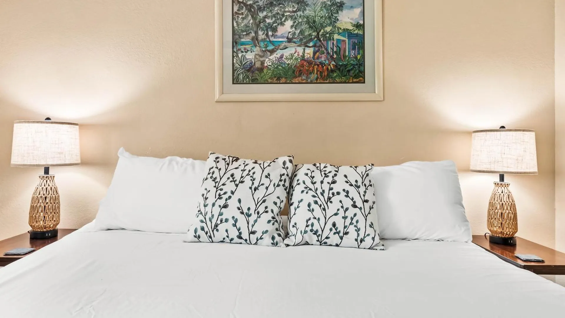 Napili Point B41 Villa Kahana Tatil Evi